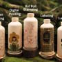 How Bio-Degradable Paper Bottles Are Shaping the Future
